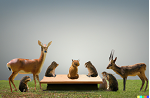 minutes-of-the-committee-meeting-17-4-2023