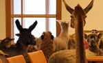 clenska-schuze-zoo-11-10-2023