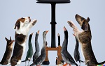 zapis-clenske-schuze-zoo-8-3-2023